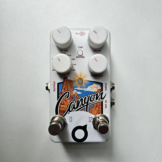 Electro Harmonix Canyon Modded with Tap Tempo Switch